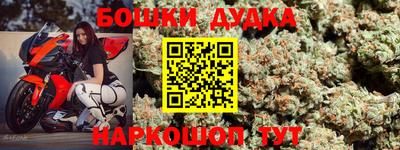 прущие грибы Шахты