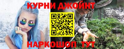 прущие грибы Шахты