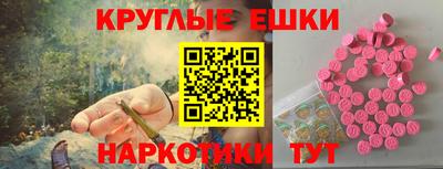 прущие грибы Шахты