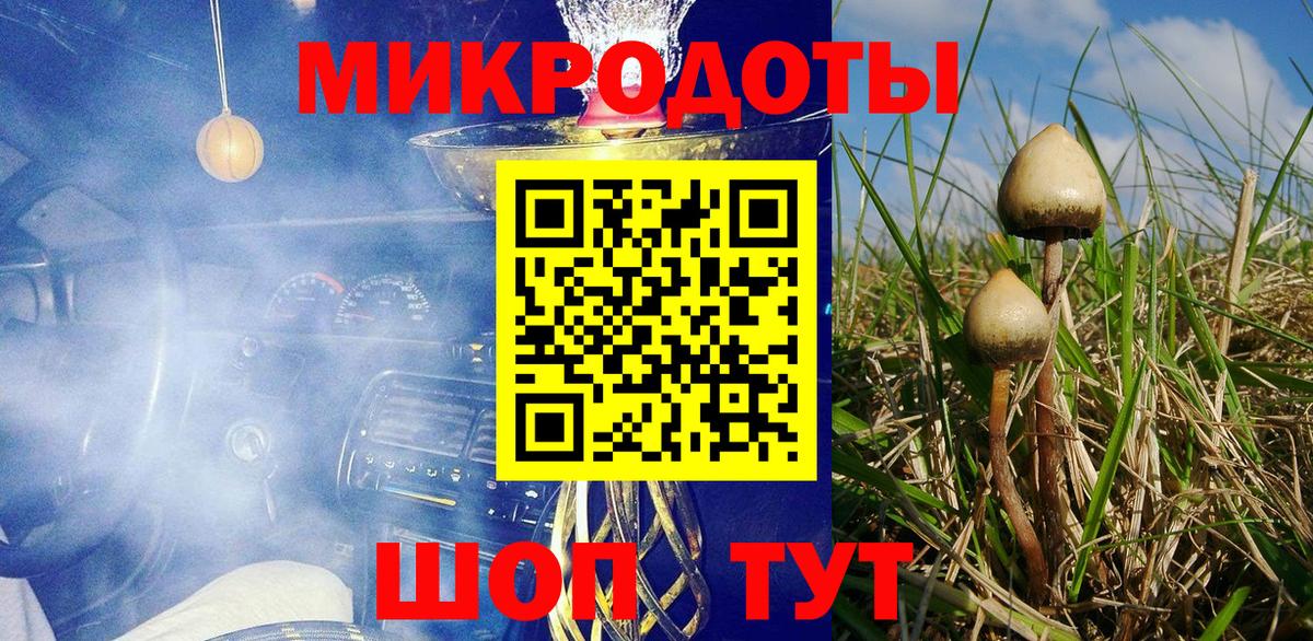 Псилоцибиновые грибы MAGIC MUSHROOMS Алексин